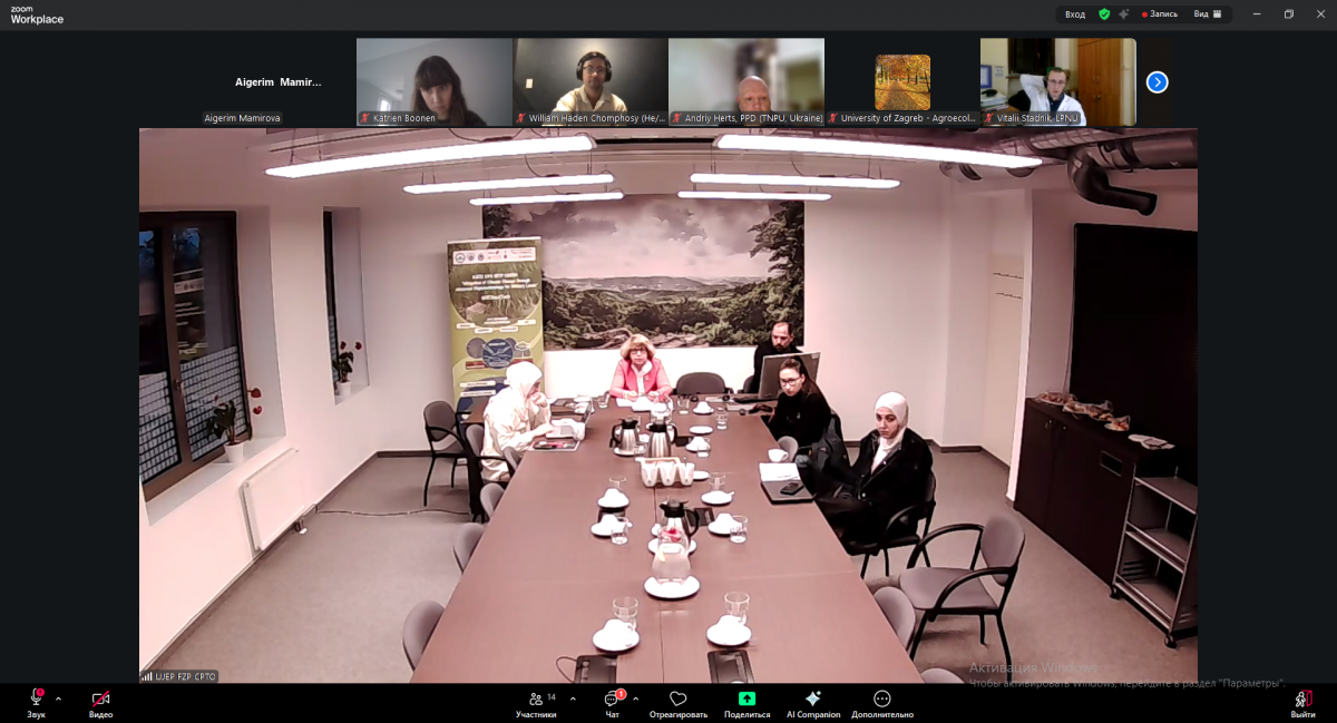 Скріншот з онлайн-заходу проєкту