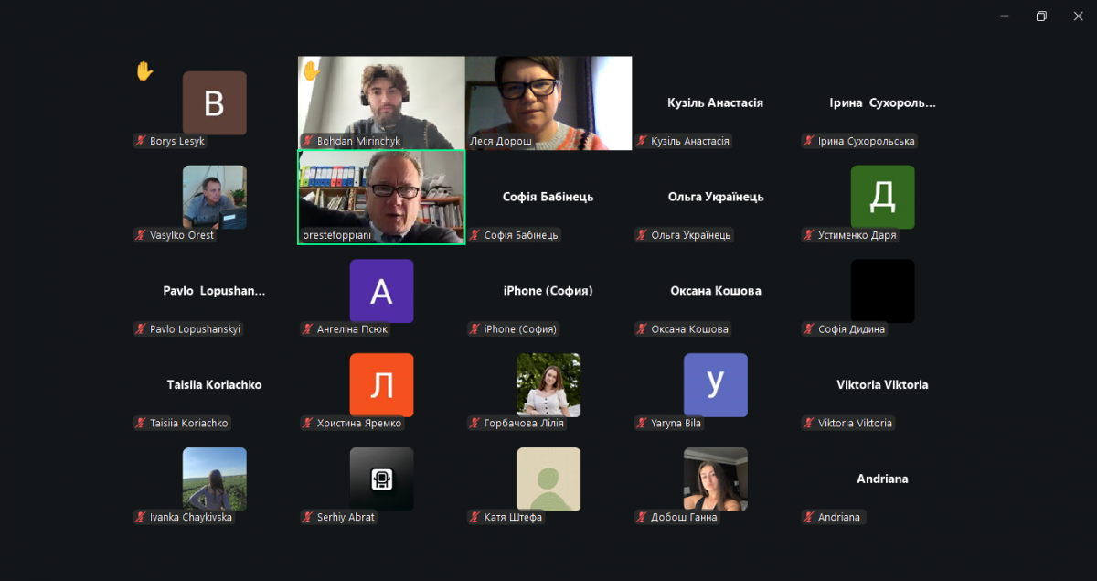 Скріншот з онлайн-лекції