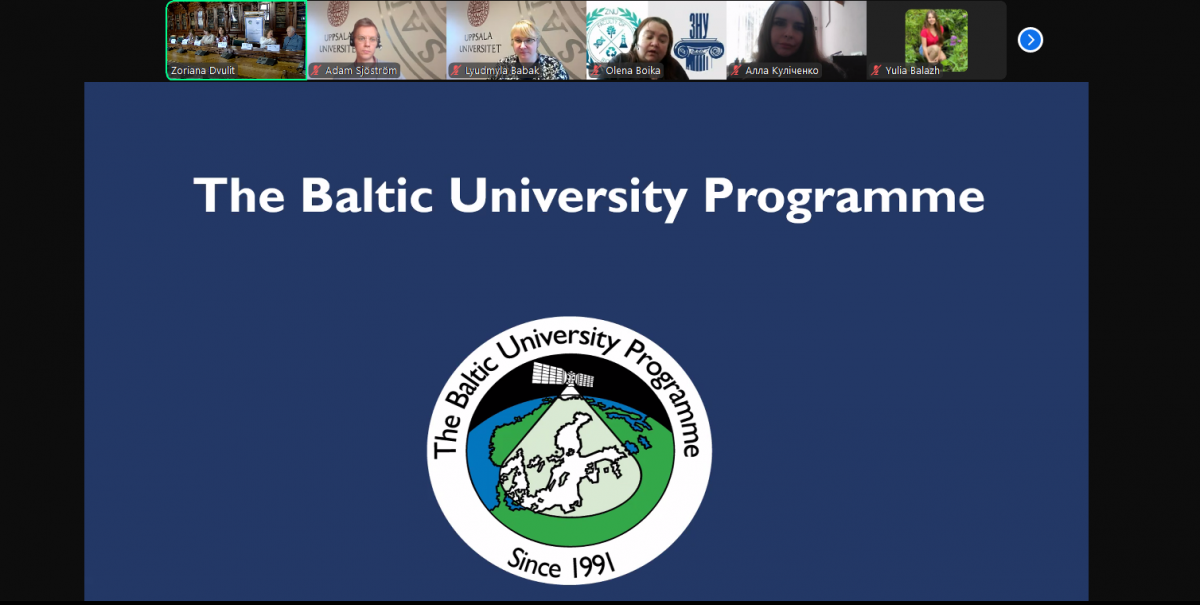 Скріншот з онлайн-заходу
