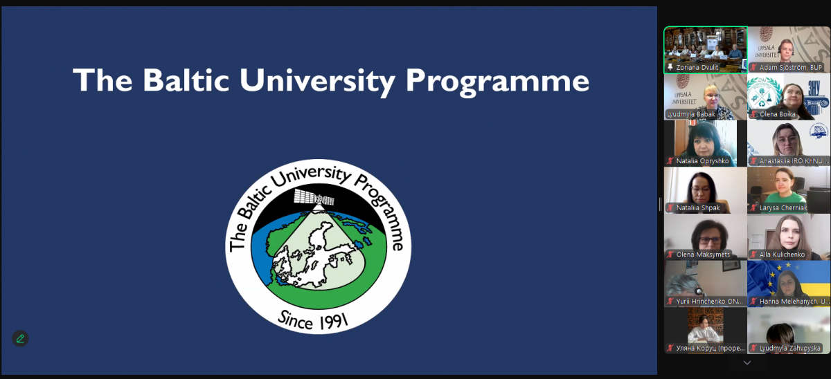 Скріншот з онлайн-заходу