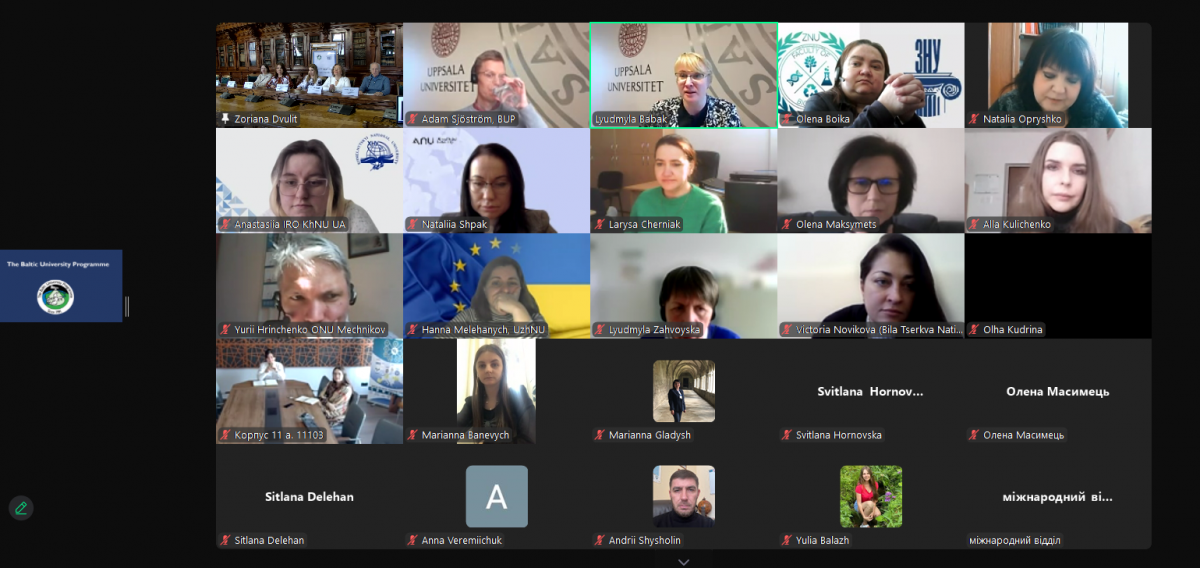 Скріншот з онлайн-заходу