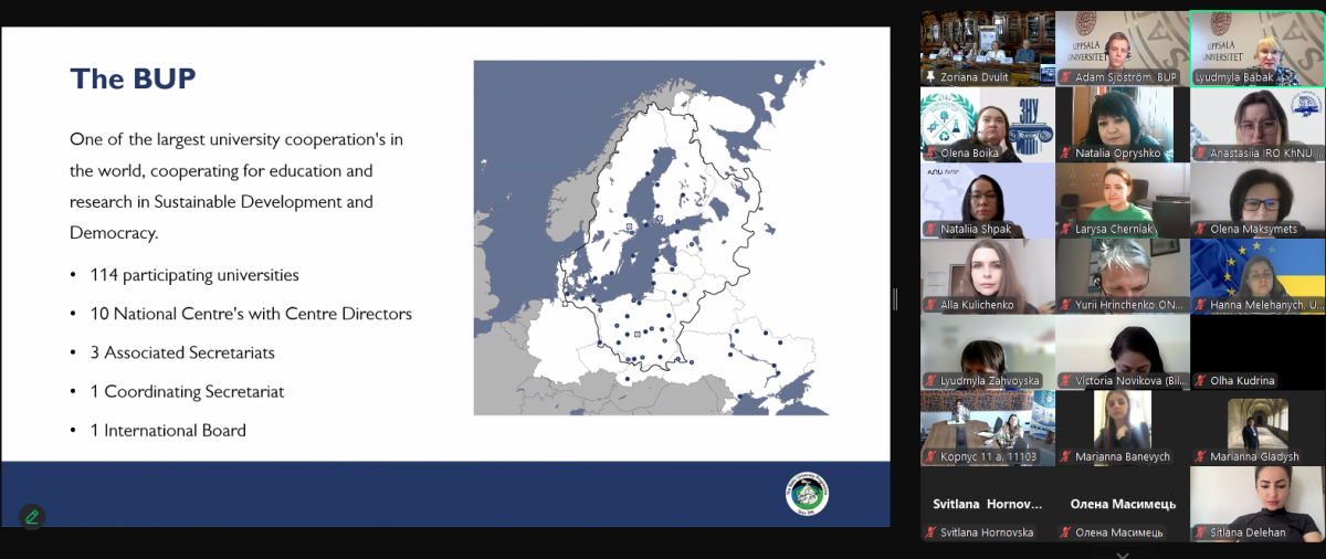 Скріншот з онлайн-заходу