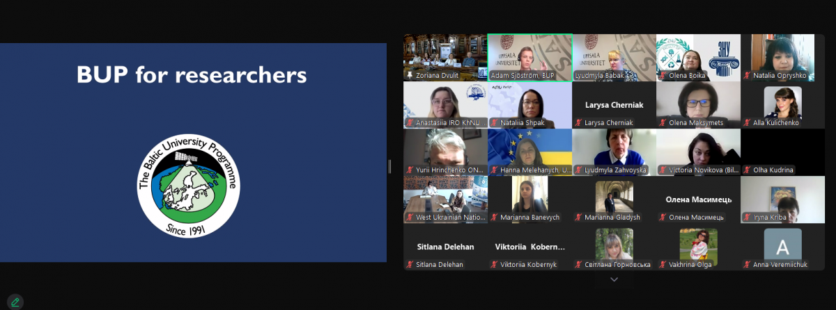 Скріншот з онлайн-заходу