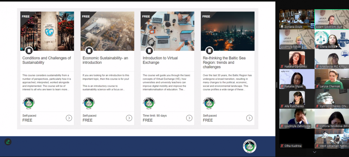 Скріншот з онлайн-заходу