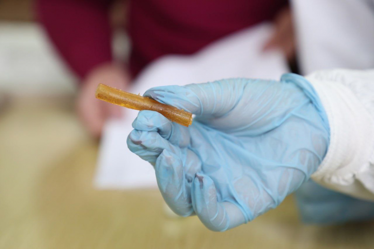 Фото з проведення експерименту