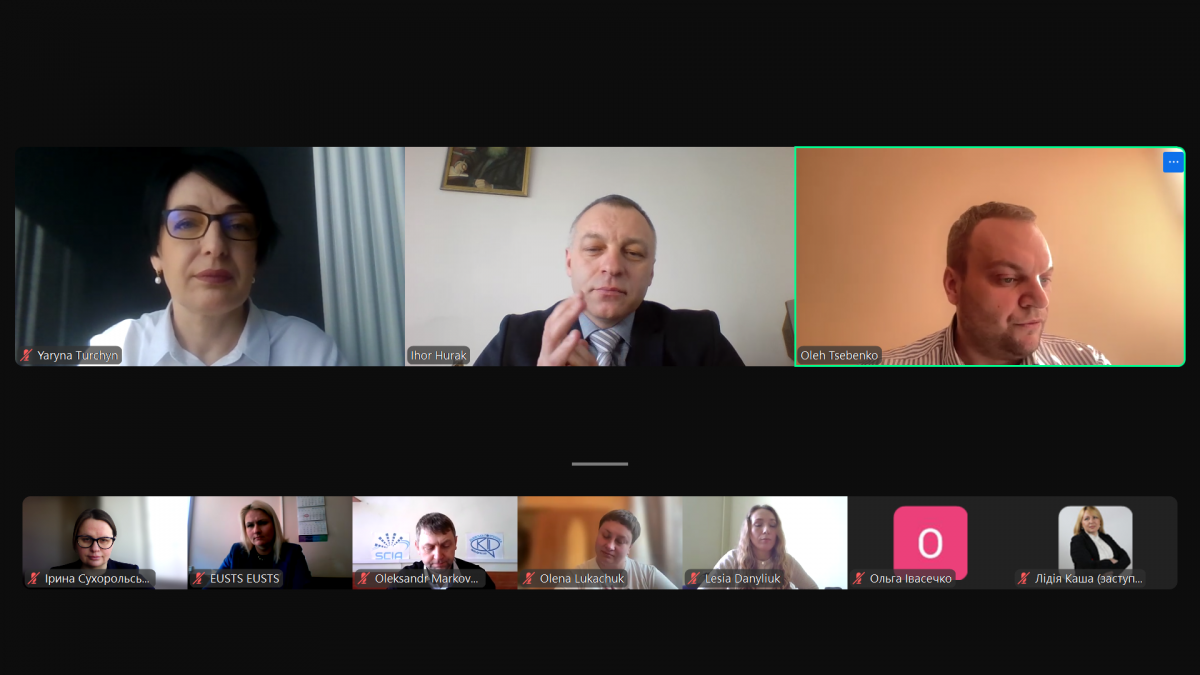 Скріншот з онлайн-заходу