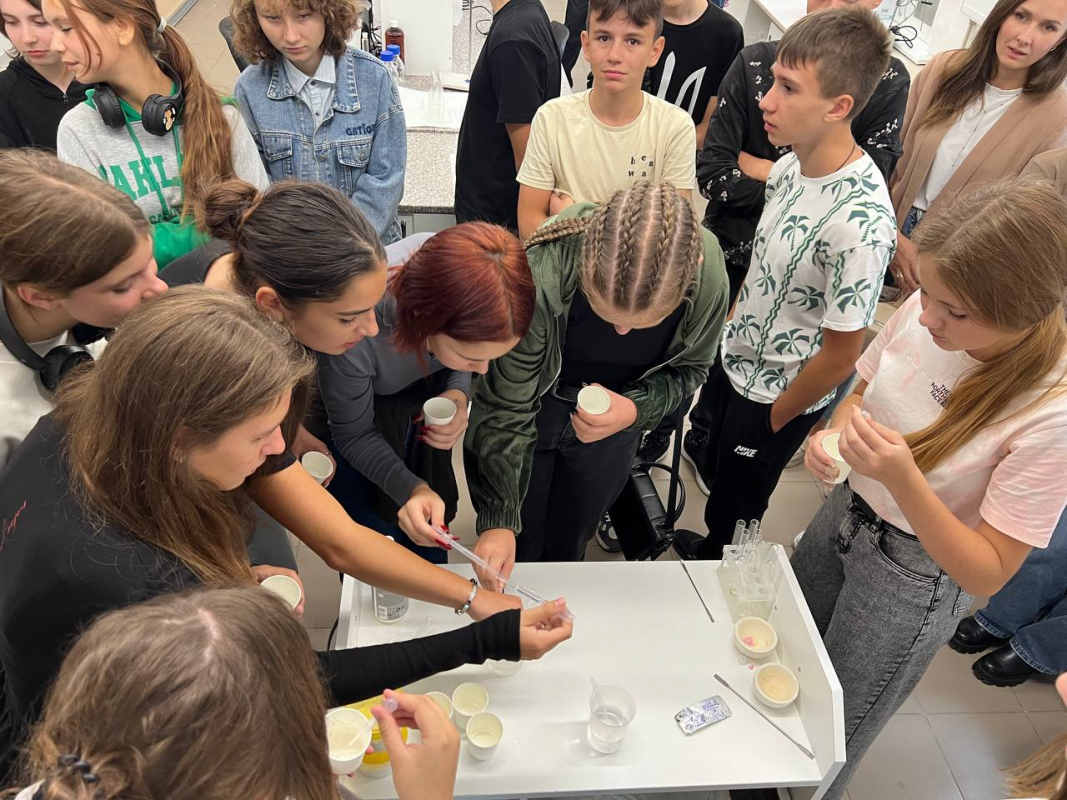 Учасники проєкту