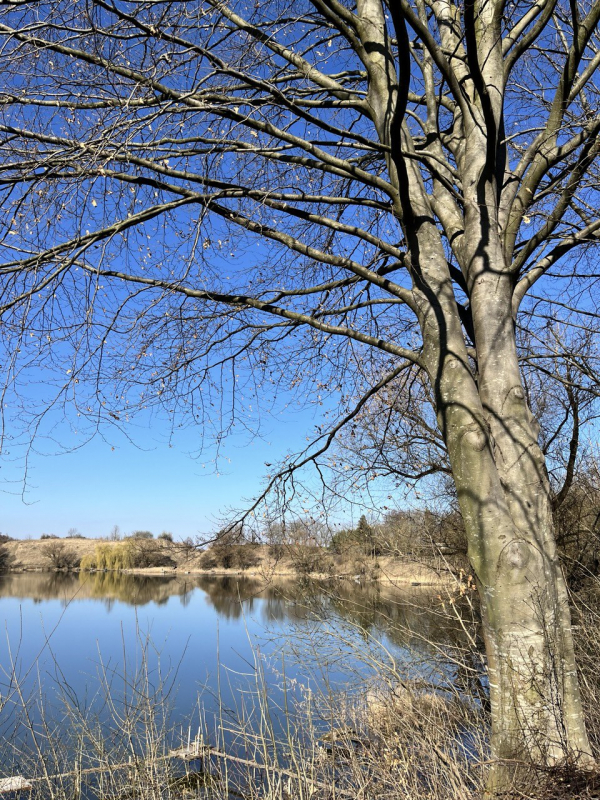 Фото з відвідин Жидачева