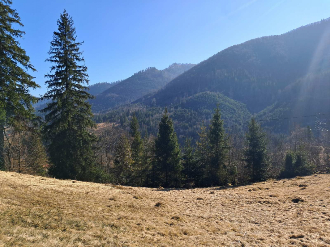 Фото із подорожі