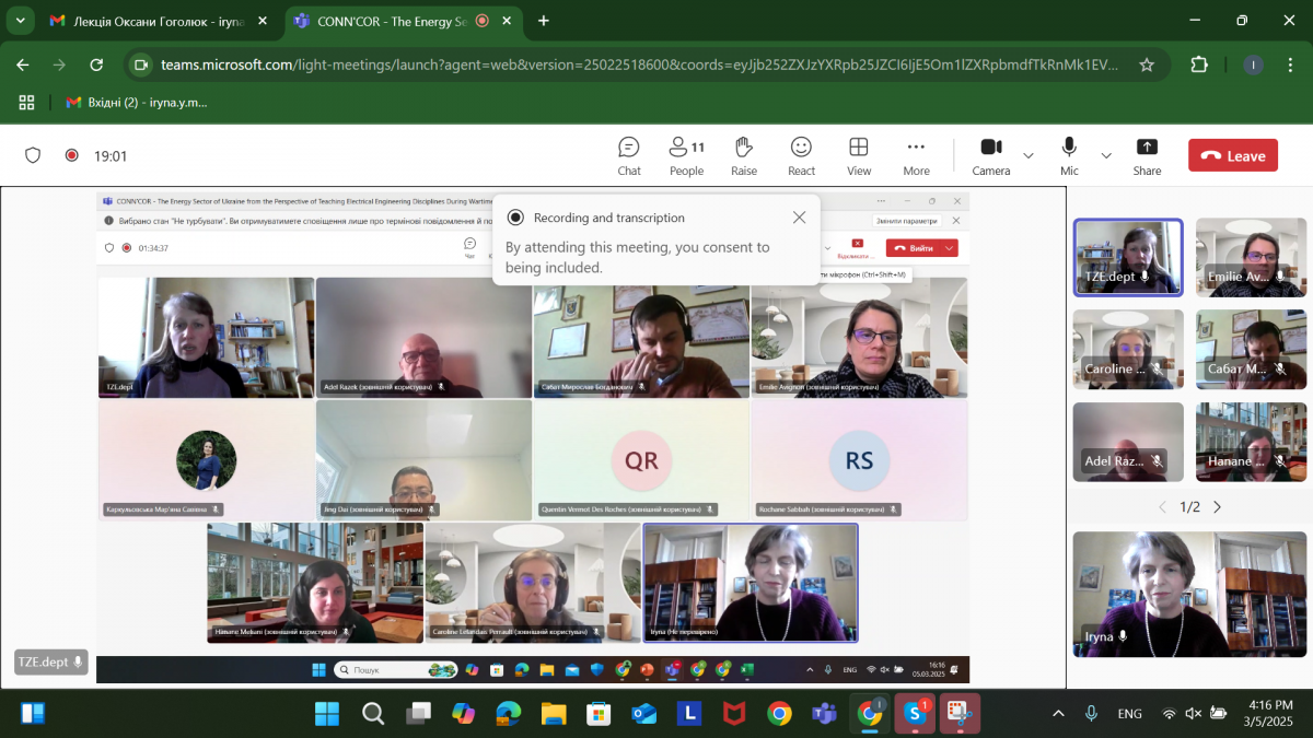 Скріншот з онлайн-лекції
