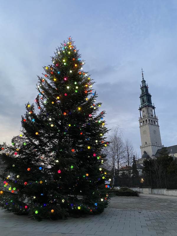 Фото з програми мобільності у Польщі