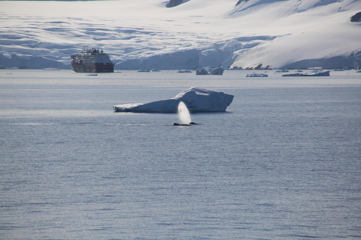 Фото з експедиції