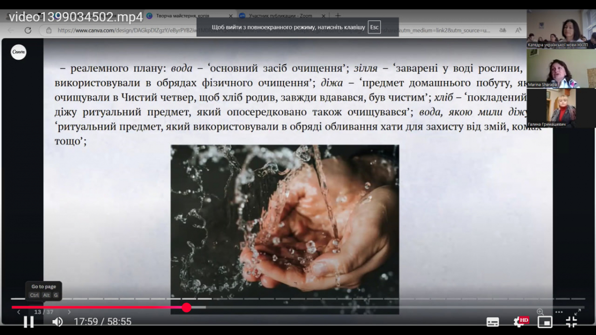 Скріншот з онлайн-лекції