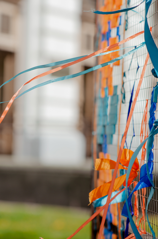 Фото з фестин