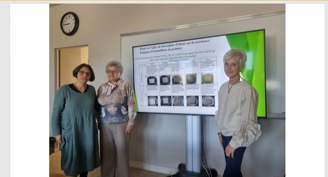 Скріншот з онлайн-заходу