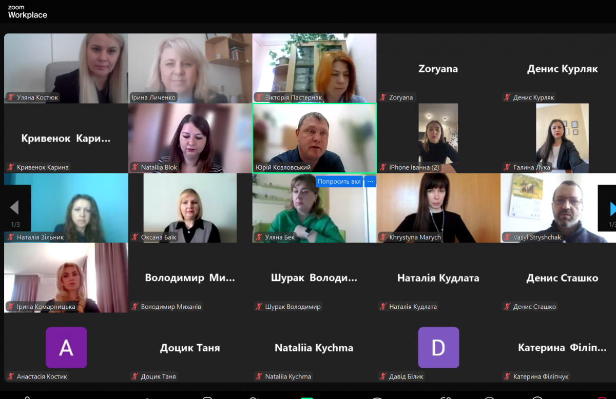 Скріншот з онлайн-конференції
