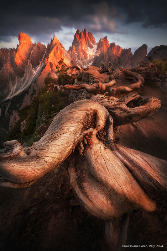 Робота Роксолани Баран