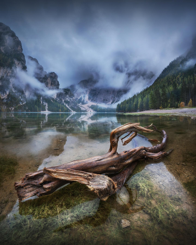 Робота Роксолани Баран