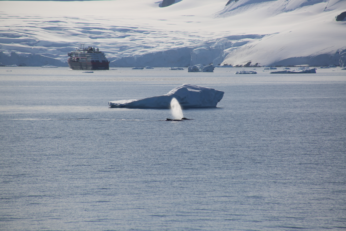 Фото з експедиції