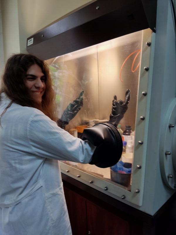 Фото зі школи