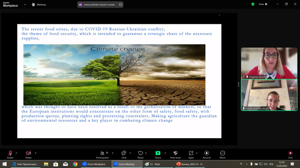 Скріншот з онлайн-конференції