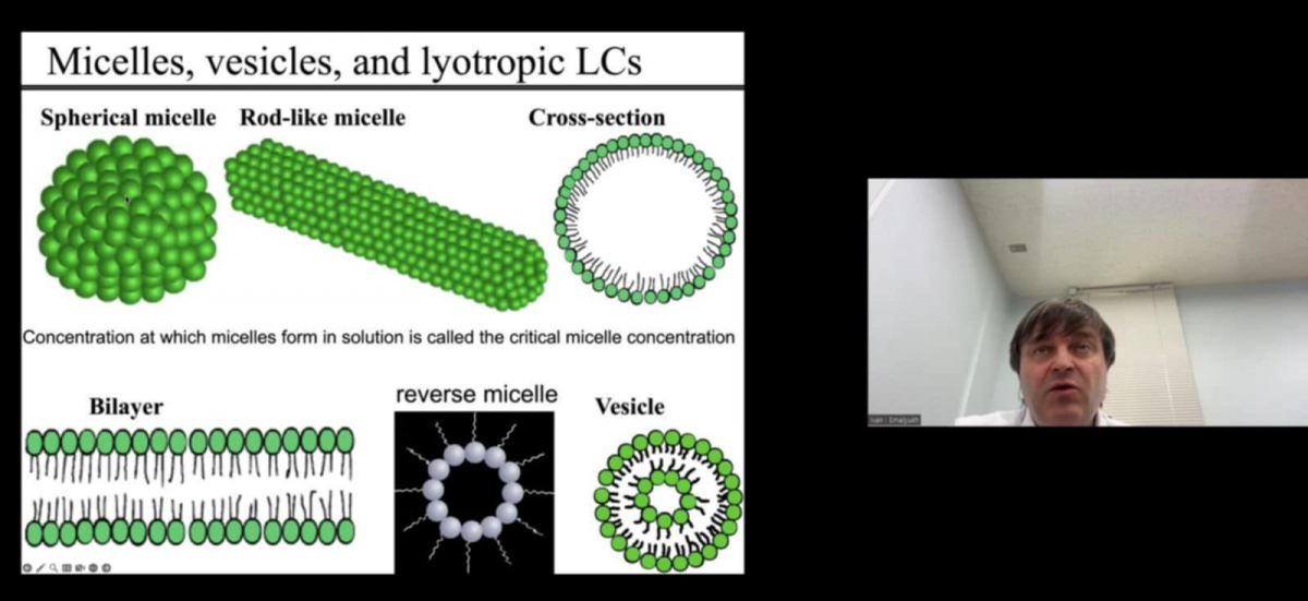 Скріншот з онлайн-лекції