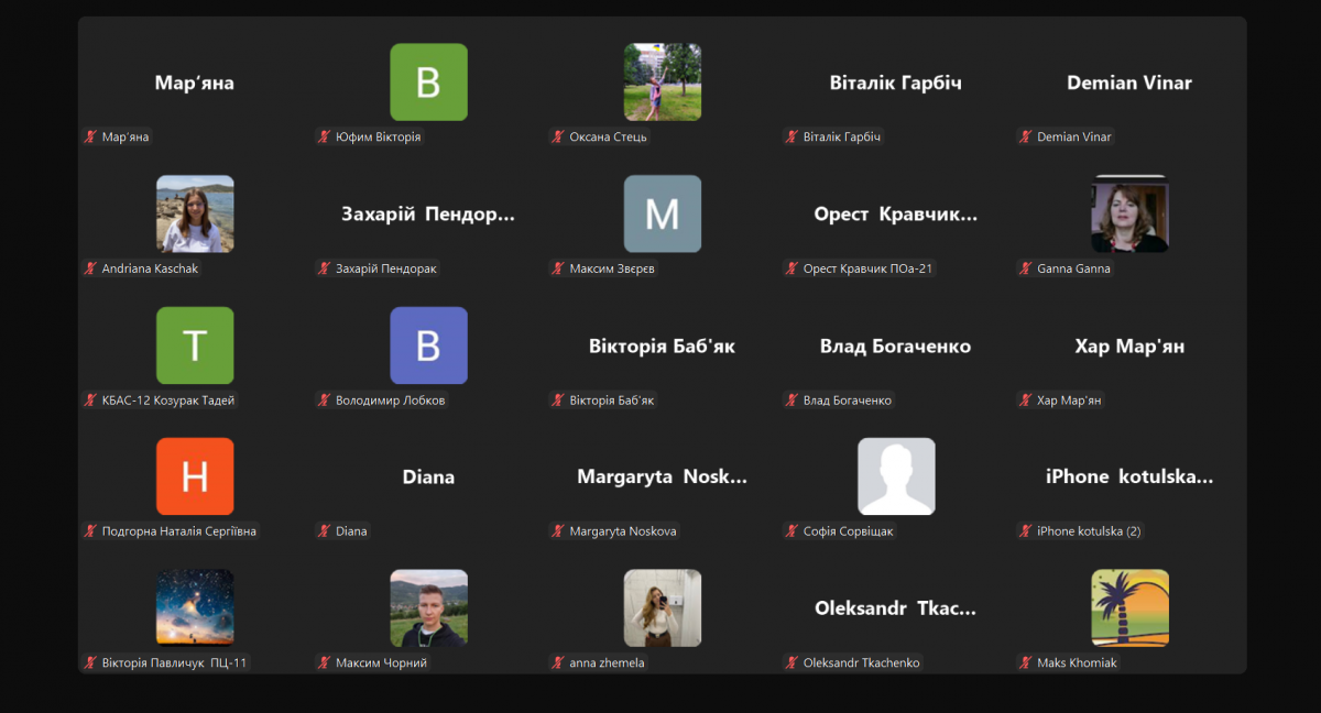 Скріншот з онлайн-семінару