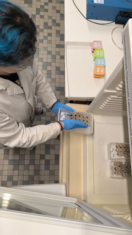 Фото зі стажування у Франції