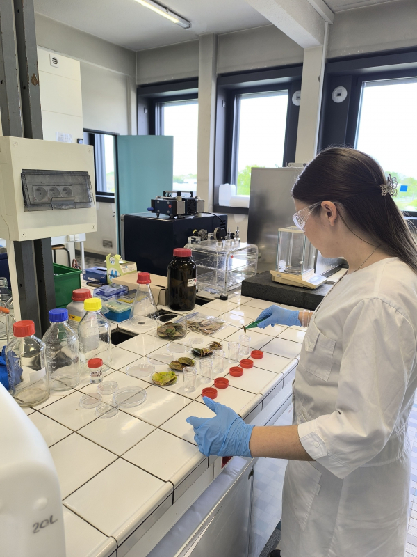 Фото зі стажування у Франції