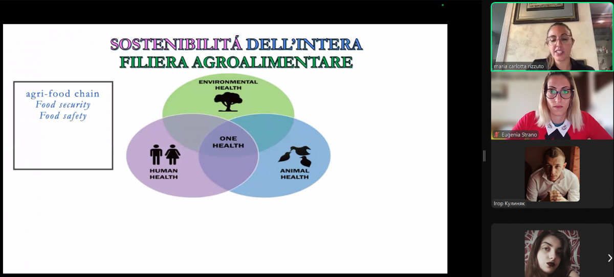 Скріншот з онлайн-лекції