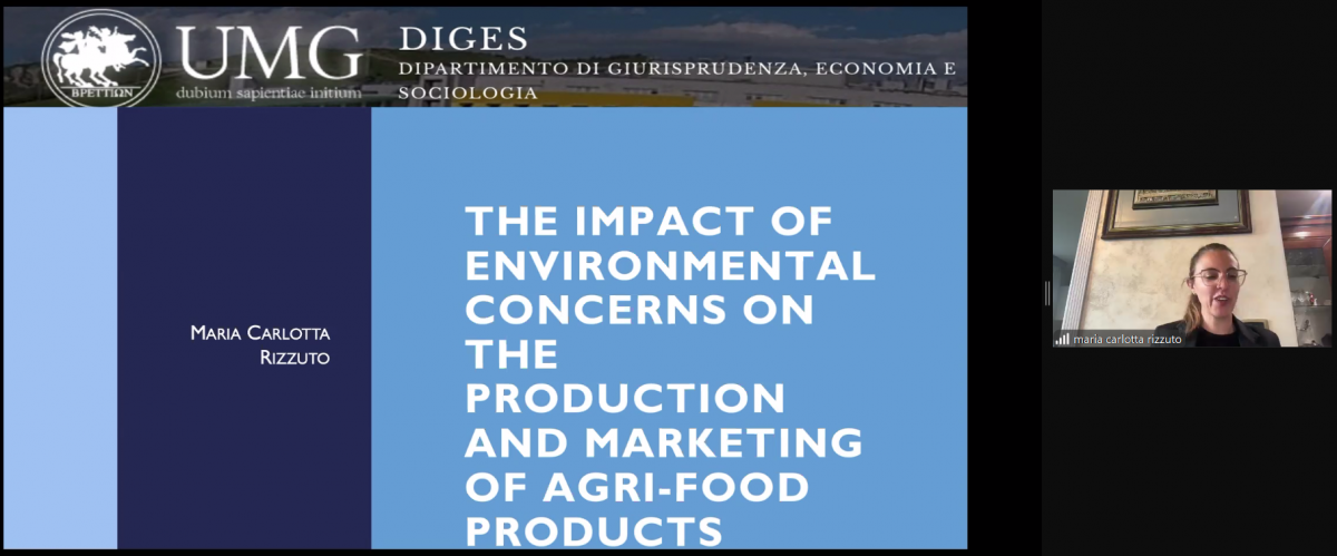 Скріншот з онлайн-лекції