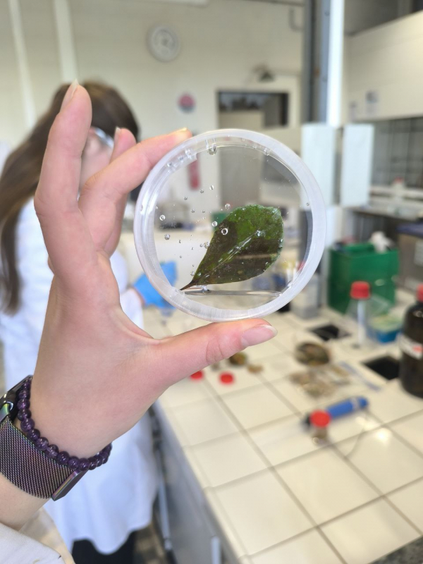 Фото зі стажування у Франції