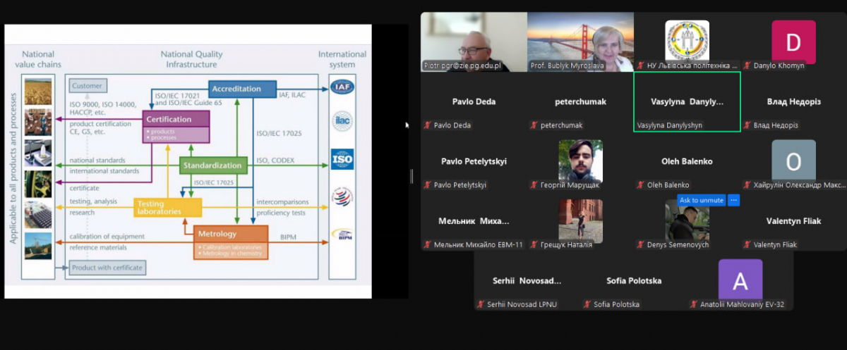Скріншот з онлайн-лекції