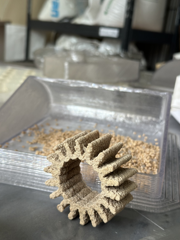 Фото з програми мобільності у Словаччині