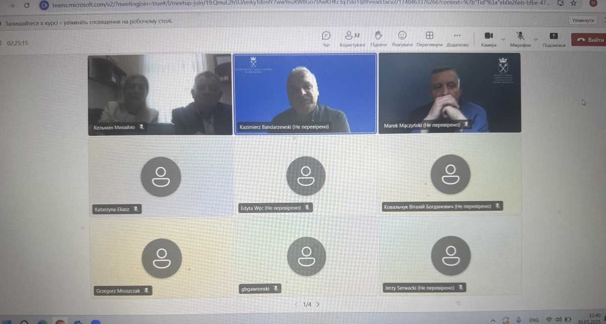 Скріншот з онлайн-зустрічі