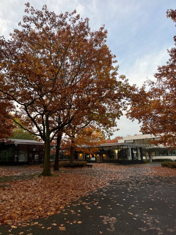 Фото з програми мобільності у Німеччині