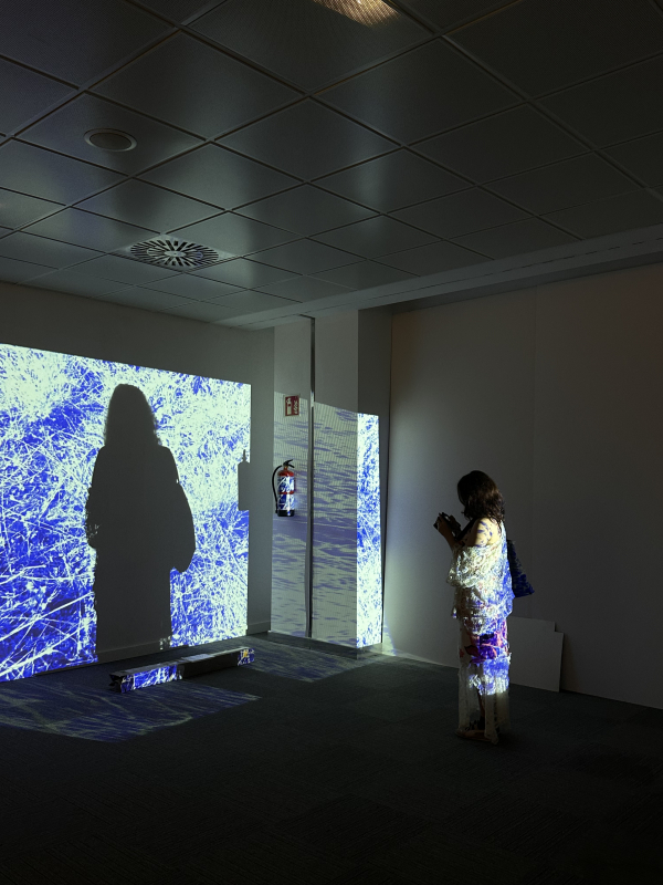 Фото з бієнале на Майорці