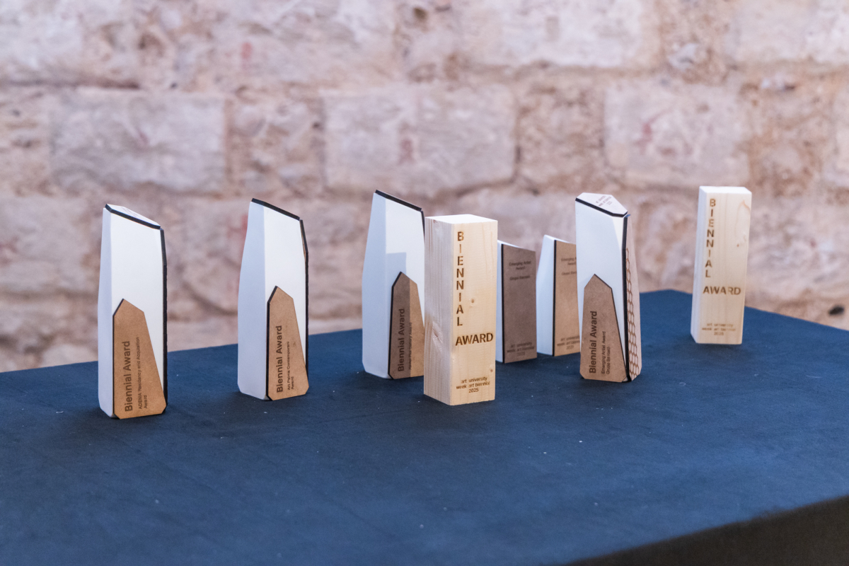 Фото з бієнале