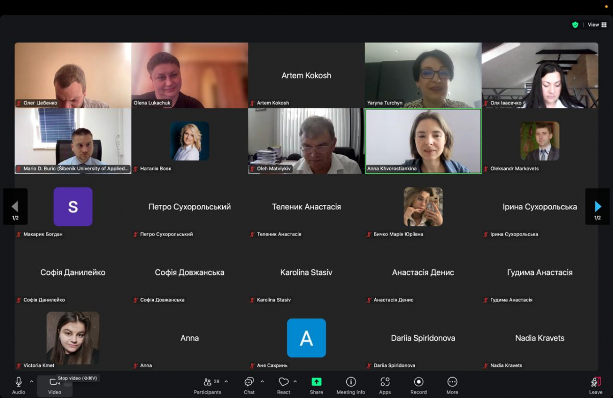 Скріншот з онлайн-заходу