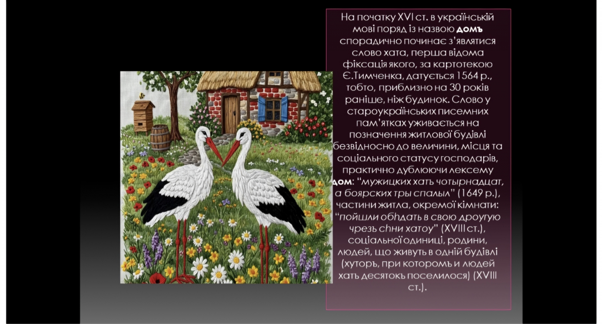 Скріншот з онлайн-лекції