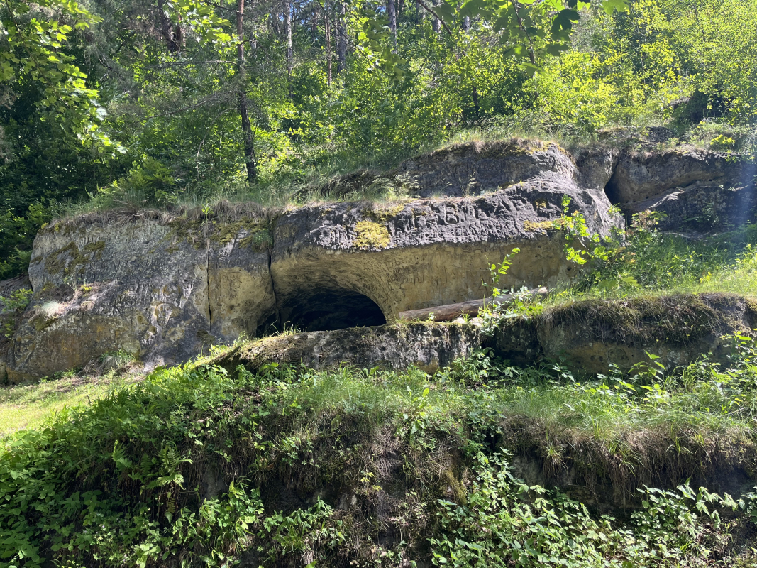 Фото з Літньої школи