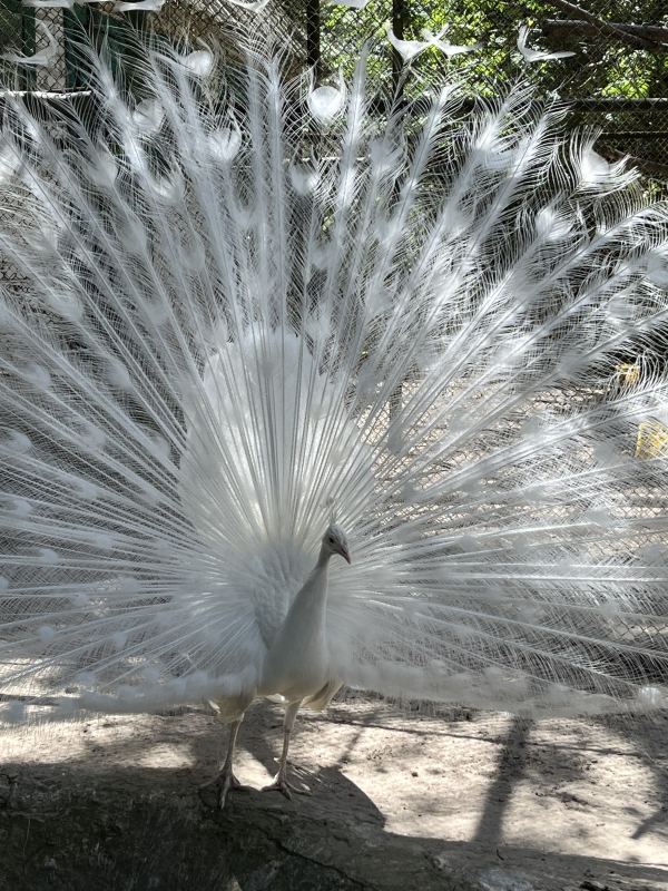 Фото з Літньої школи