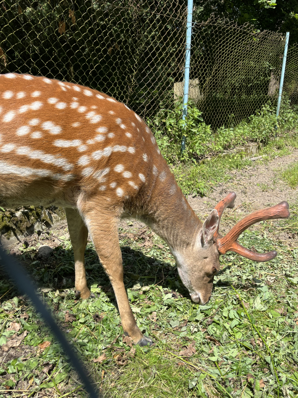Фото з Літньої школи