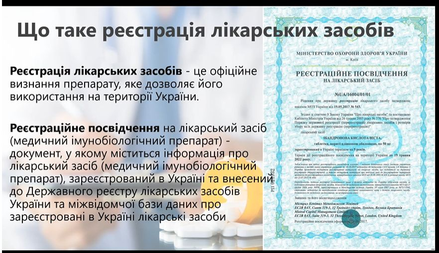 Скріншот з онлайн-лекції