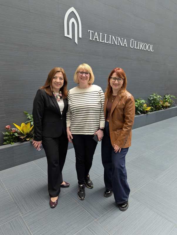 Фото із заходу в Естонії