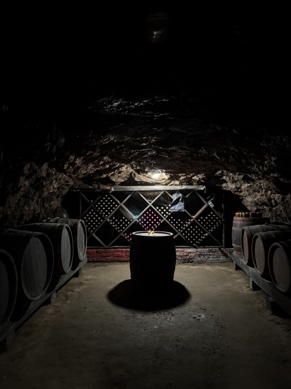 Фото із практики