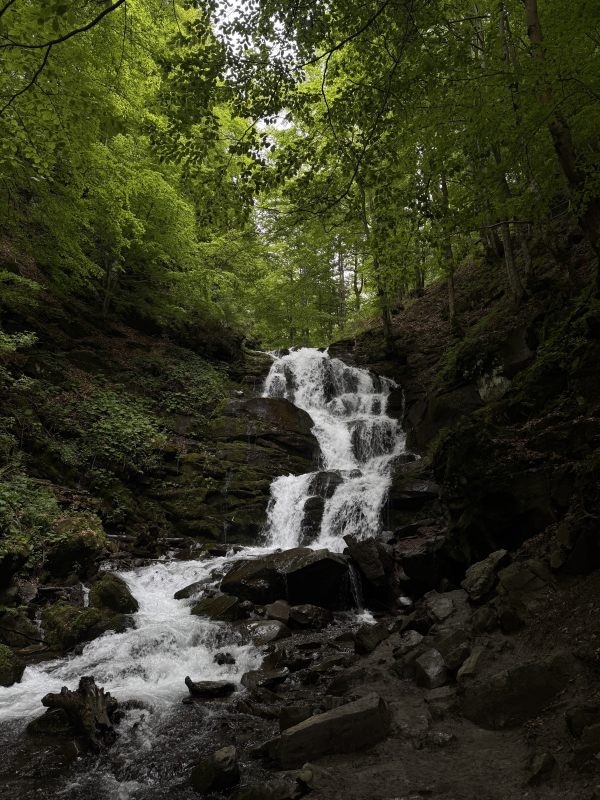 Фото із практики