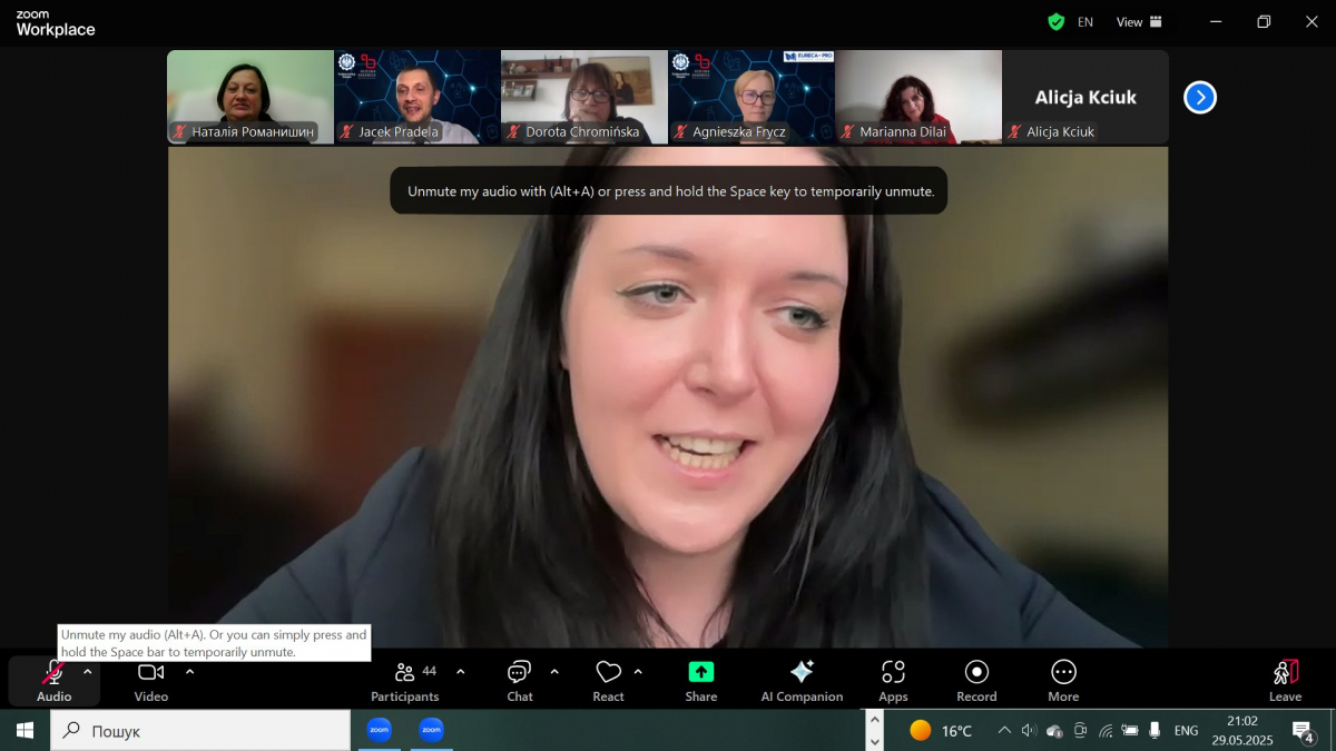 Скріншот з онлайн-заходу проєкту