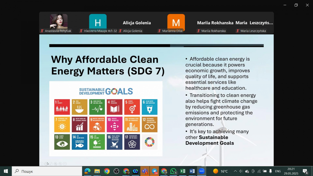 Скріншот з онлайн-заходу проєкту