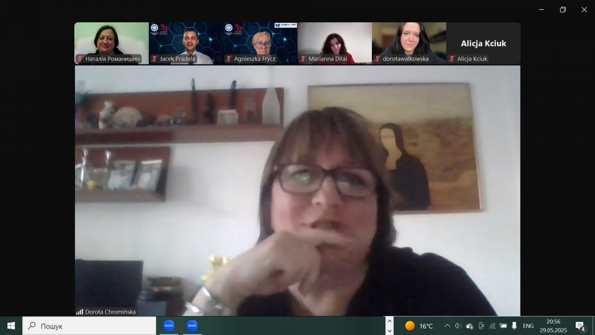 Скріншот з онлайн-заходу проєкту